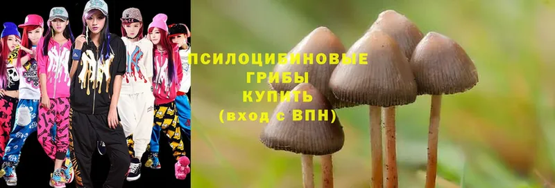 Псилоцибиновые грибы GOLDEN TEACHER  закладки  Дальнегорск 